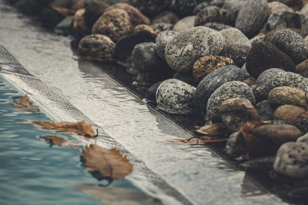 Fallen autumn leaves floating at the edge of a pool