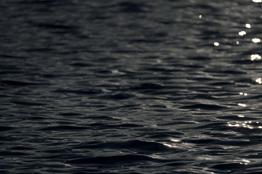 The still surface of dark water